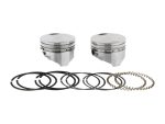 High-performance motorcycle pistons with piston rings and bearings for Revelry Cycles bikes.
