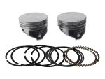High-performance motorcycle pistons and piston rings kit for revelry motorcycle engines.