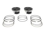 High-performance motorcycle piston and piston ring set for Revelry Motorcycles models.