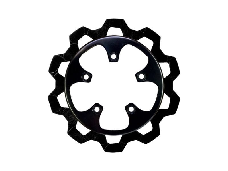 Black bicycle chainring and sprocket for Revelry Motorcycles.