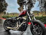 Vivid black and red custom Harley-Davidson motorcycle on black pavement, surrounded by greenery.