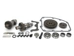 High-performance motorcycle engine parts kit with gears, bearings, and gaskets for Revelry Motorcycles.