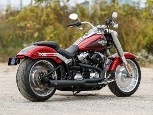 Harley-Davidson motorcycle on scenic outdoor road in autumn setting.