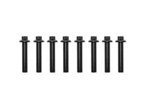 High-quality black motorcycle bolts for Revelry Motorcycles and custom builds. Durable and reliable fasteners for motorcycle maintenance.