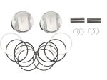 Revelry motorcycle piston kit with pistons, rings, pins, and clips for engine repair and upgrade.