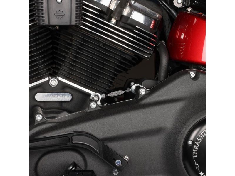 Harley-Davidson V-twin engine close-up on custom motorcycle, detail shot of bike engine.