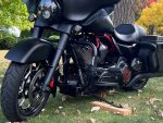 Black custom Harley Davidson motorcycle with matte finish near trees.